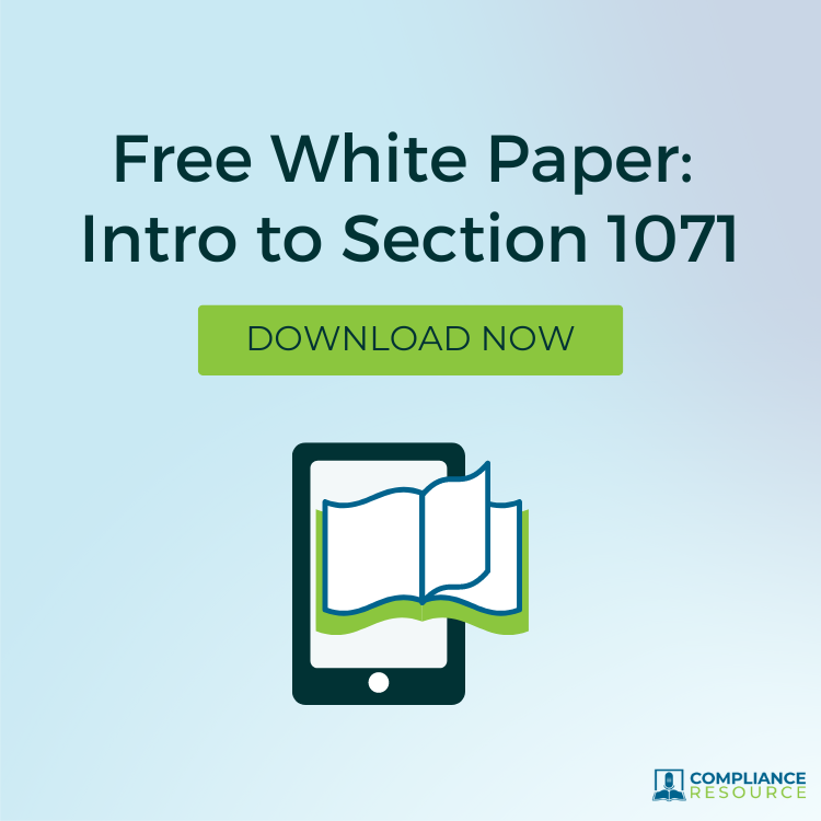 Section 1071 White Paper-2
